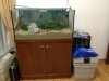 SB fish tank.jpg