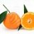 orange_citrus